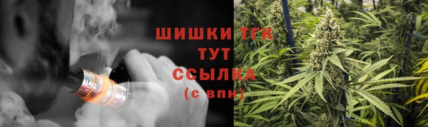 молекула духа Покачи
