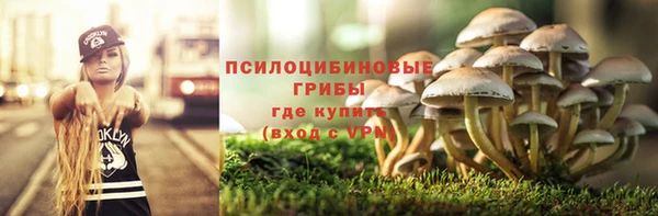 молекула духа Покачи