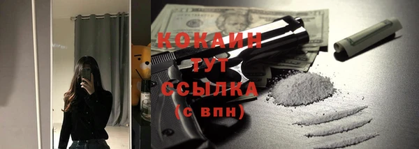 молекула духа Покачи