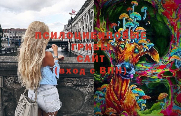молекула духа Покачи