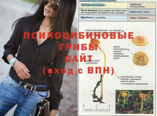 молекула духа Покачи