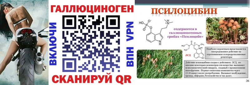 Галлюциногенные грибы Cubensis  Алдан 
